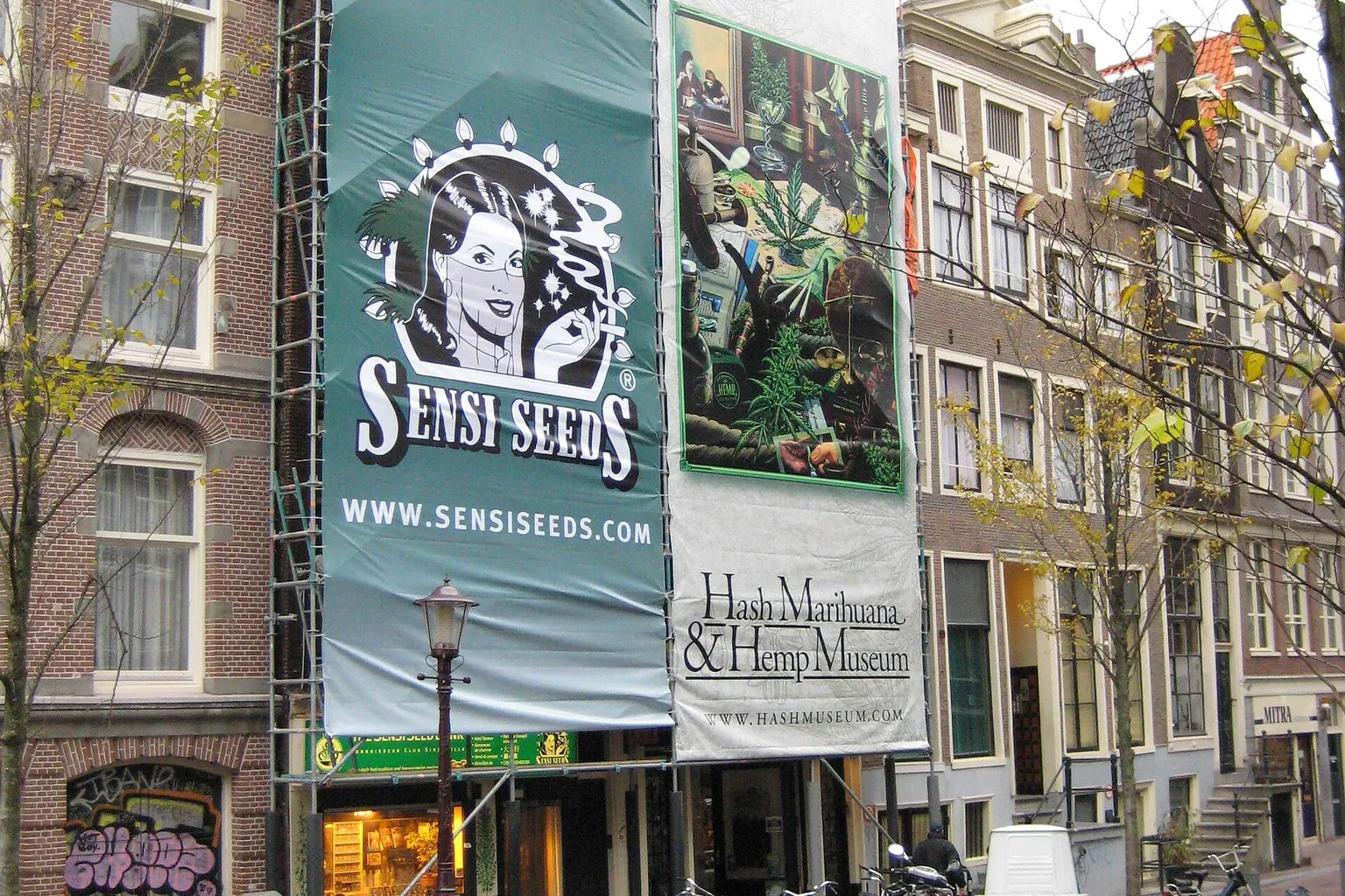 Hash Marihuana & Hemp Museum Tickets: Welche Option passt?