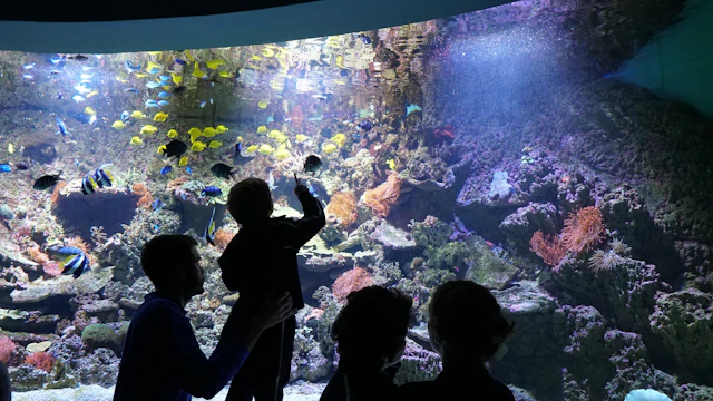 Aquarium Sevilla