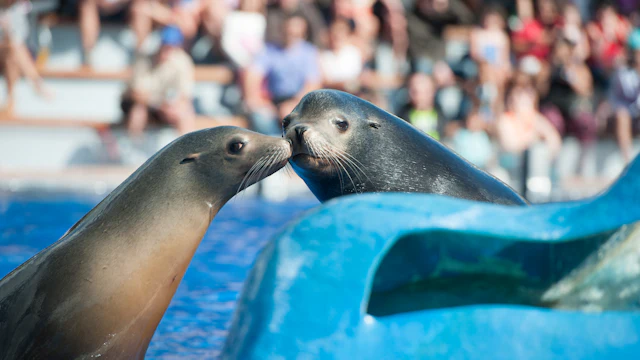 Marineland Mallorca