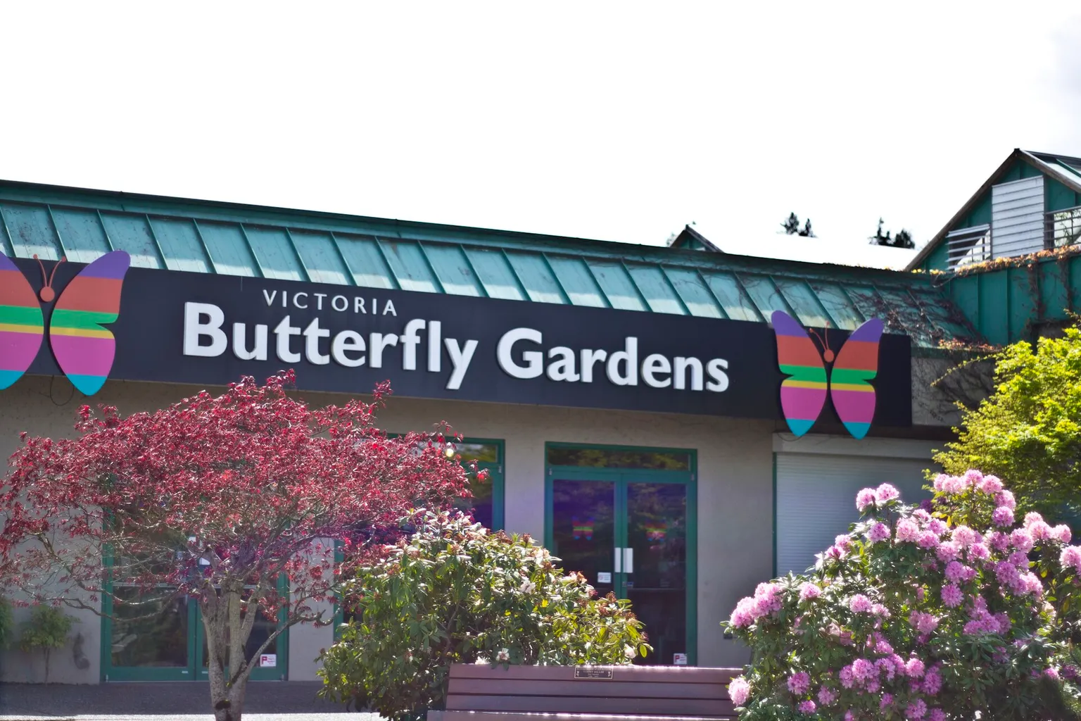Victoria Butterfly Gardens Tickets: Unsere Analyse der Buchungswege